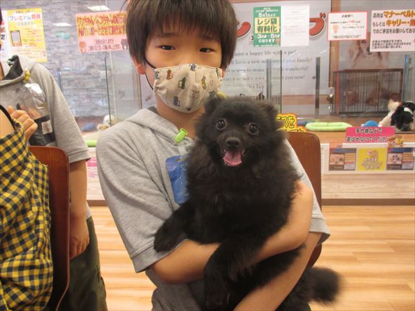 写真