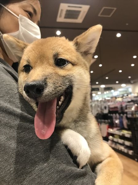 写真