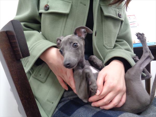 写真