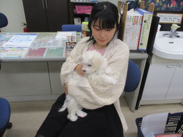 写真