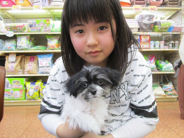 写真
