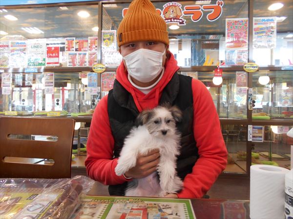 写真