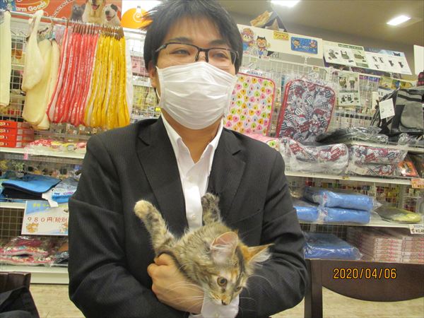 写真