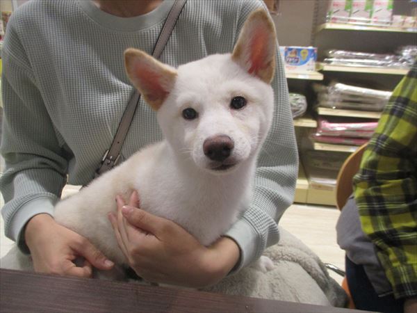 写真