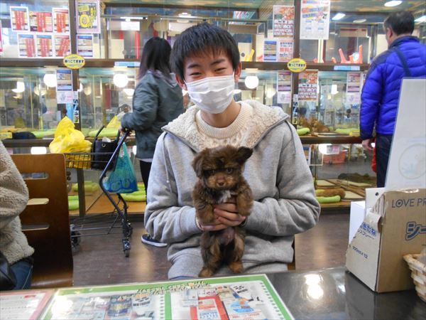 写真