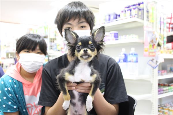 写真
