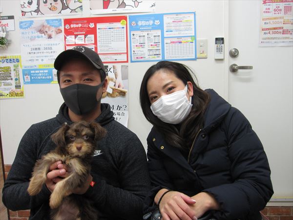 写真