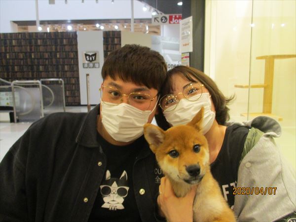 写真