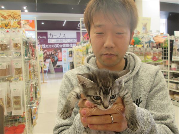 写真