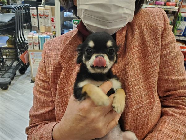 写真