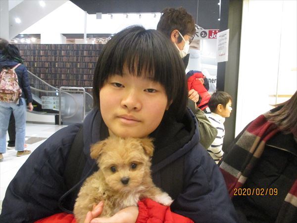 写真