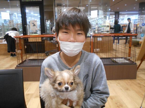 写真