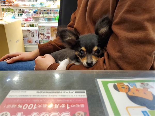 写真