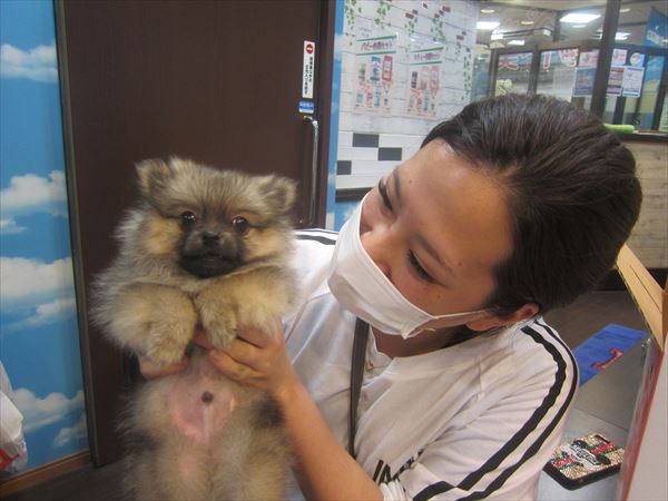 写真