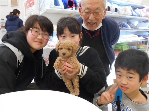 写真