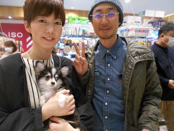 写真