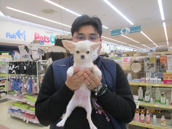 写真