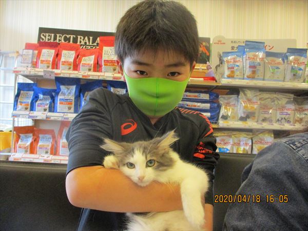 写真