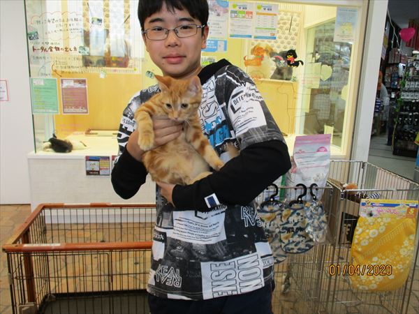 写真