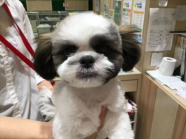 写真