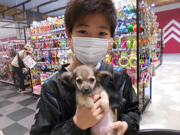 写真