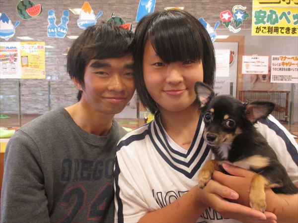 写真