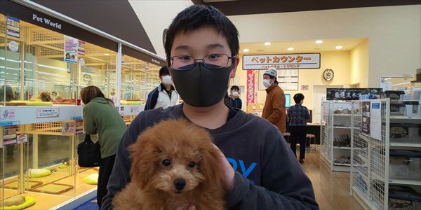 写真