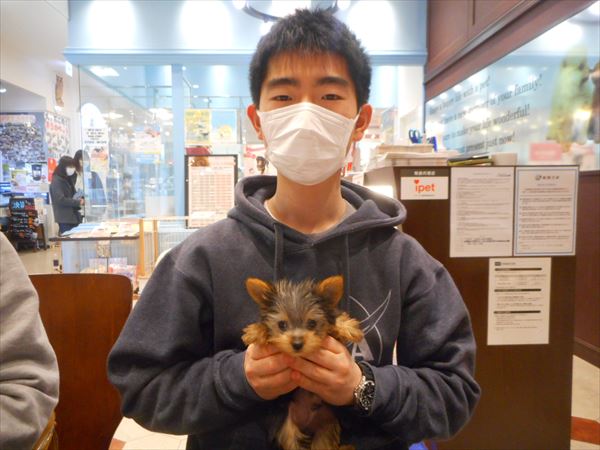 写真