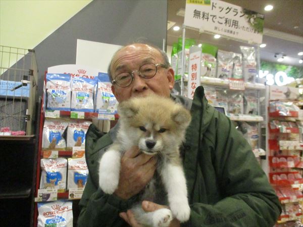写真