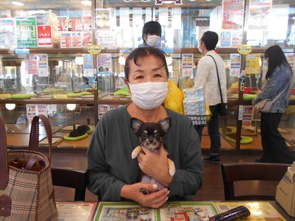 写真