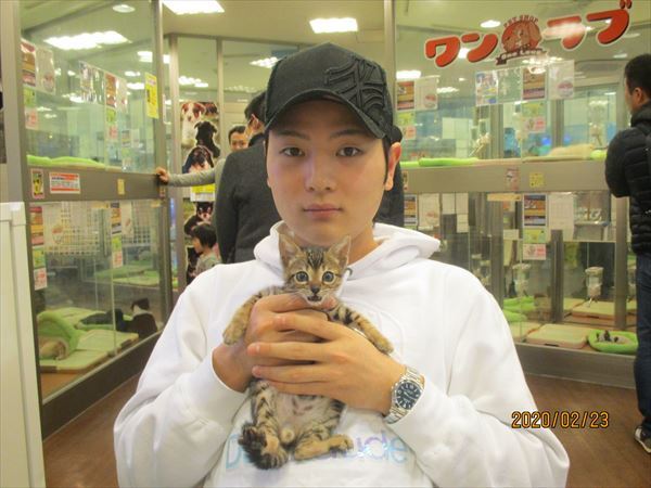 写真