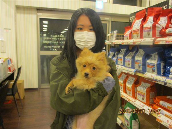 写真