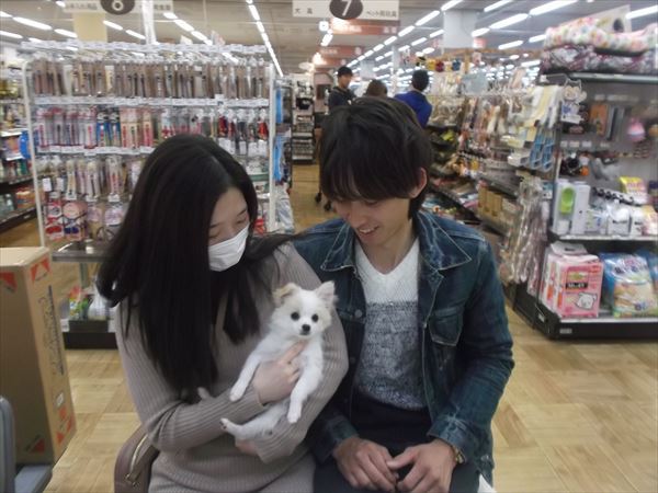 写真