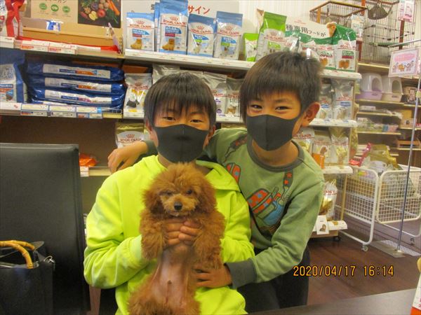 写真