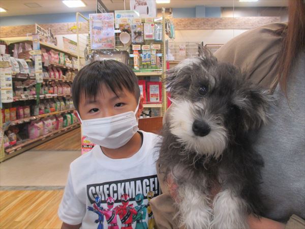 写真