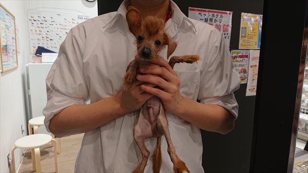 写真