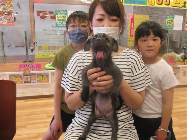 写真