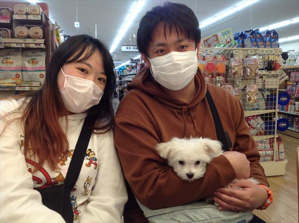 写真
