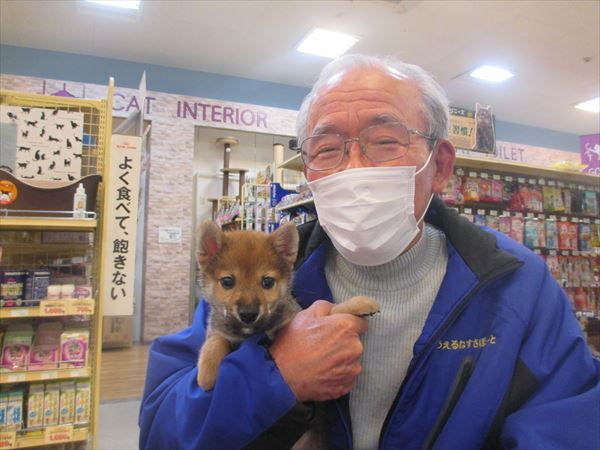 写真