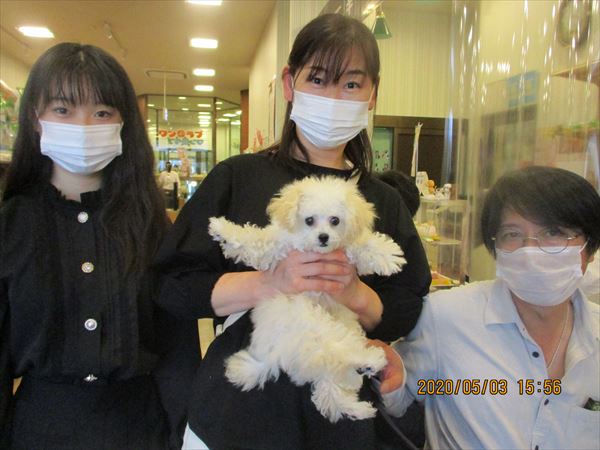 写真