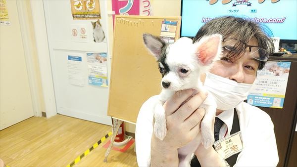 写真