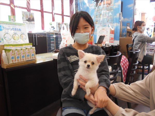 写真