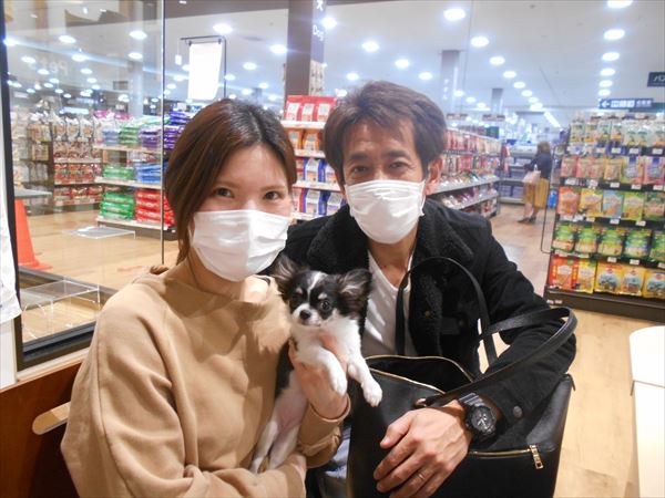 写真