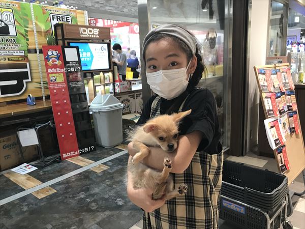 写真