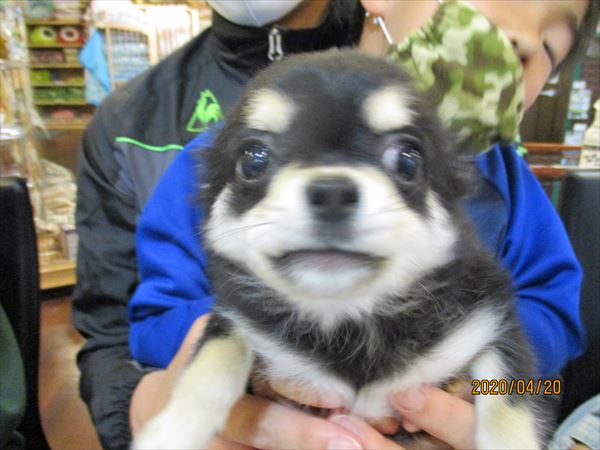 写真
