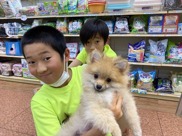 写真