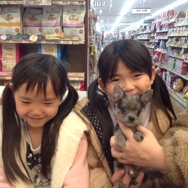 写真