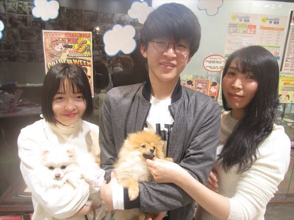 写真