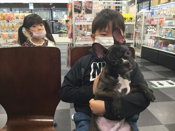 写真