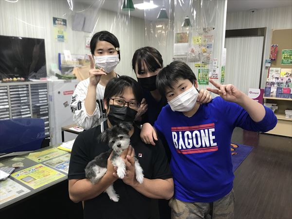 写真